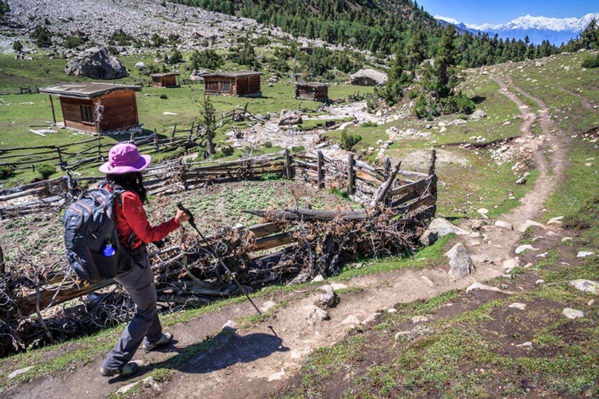 Fairy Meadows Trek ( Nanga Parbat Base Camp )