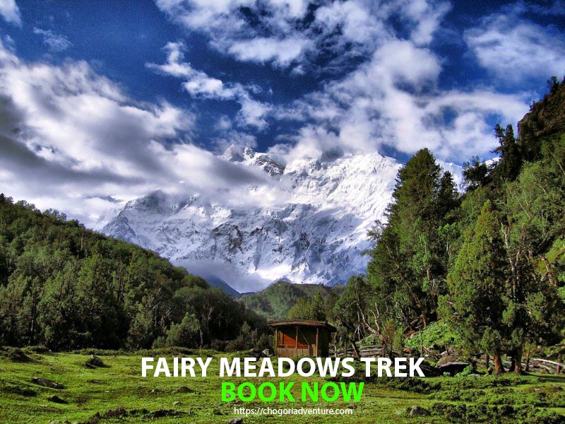 Fairy meadows trek Nanga Parbat Base Camp Trek